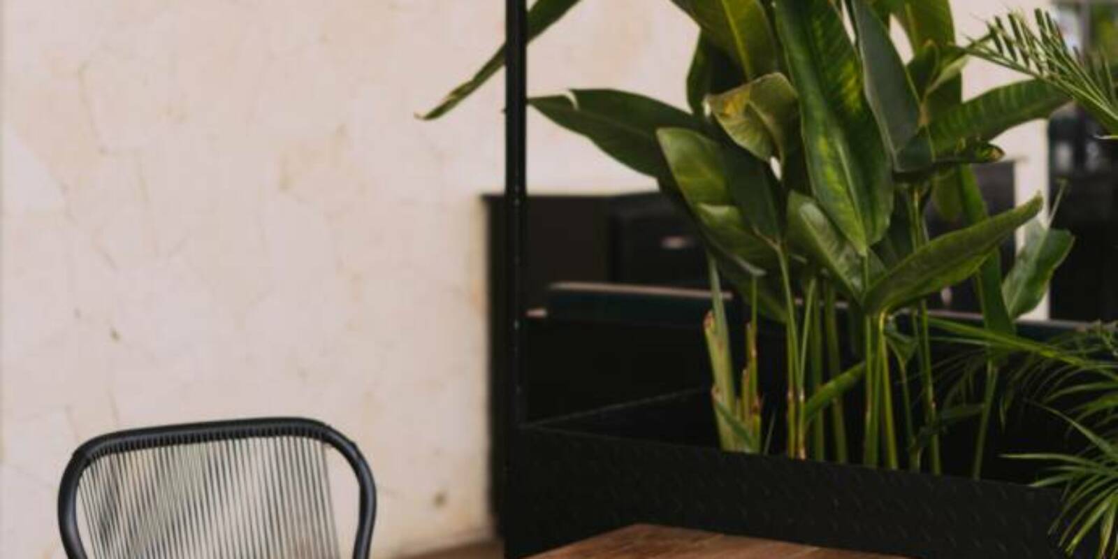 Miljövänliga möbler 2